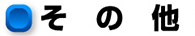 その他